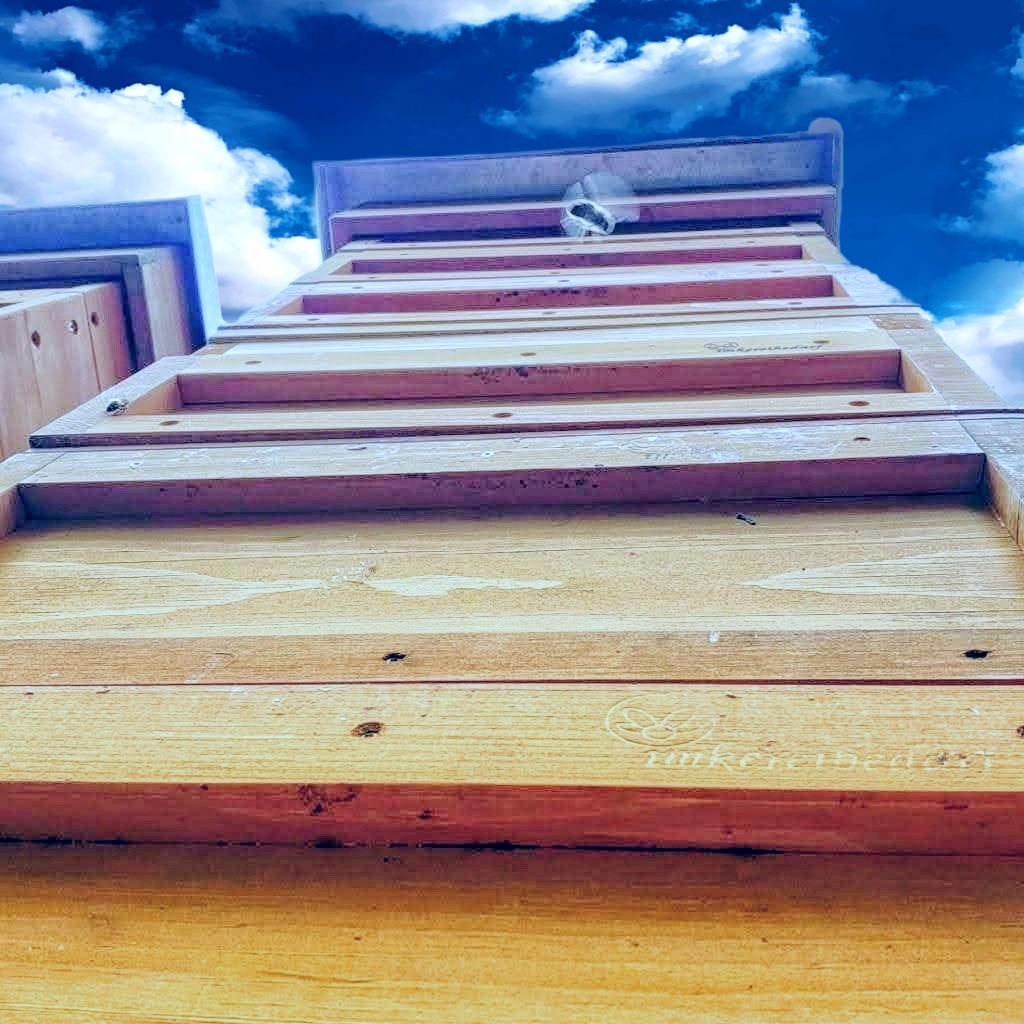 Honigernte über den Wolken!