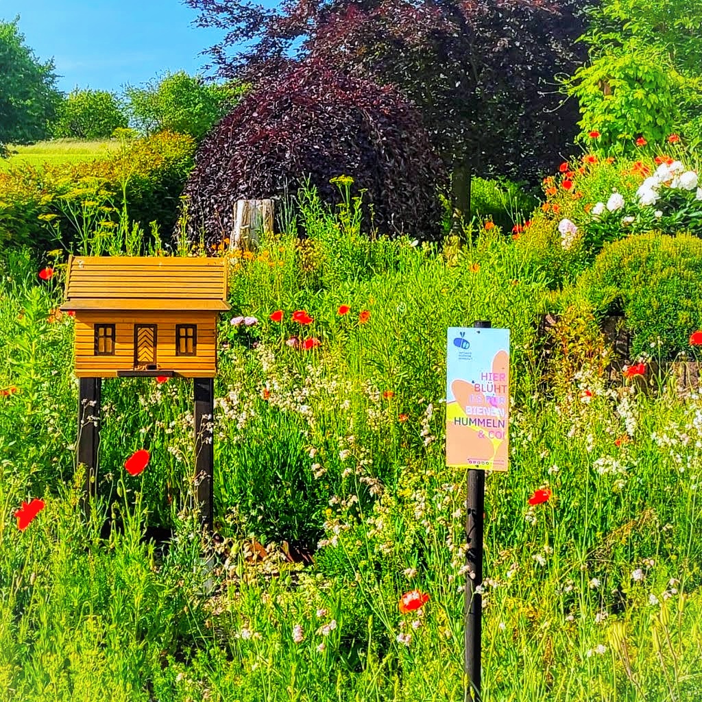 Wo Bienen wohnen und lernen