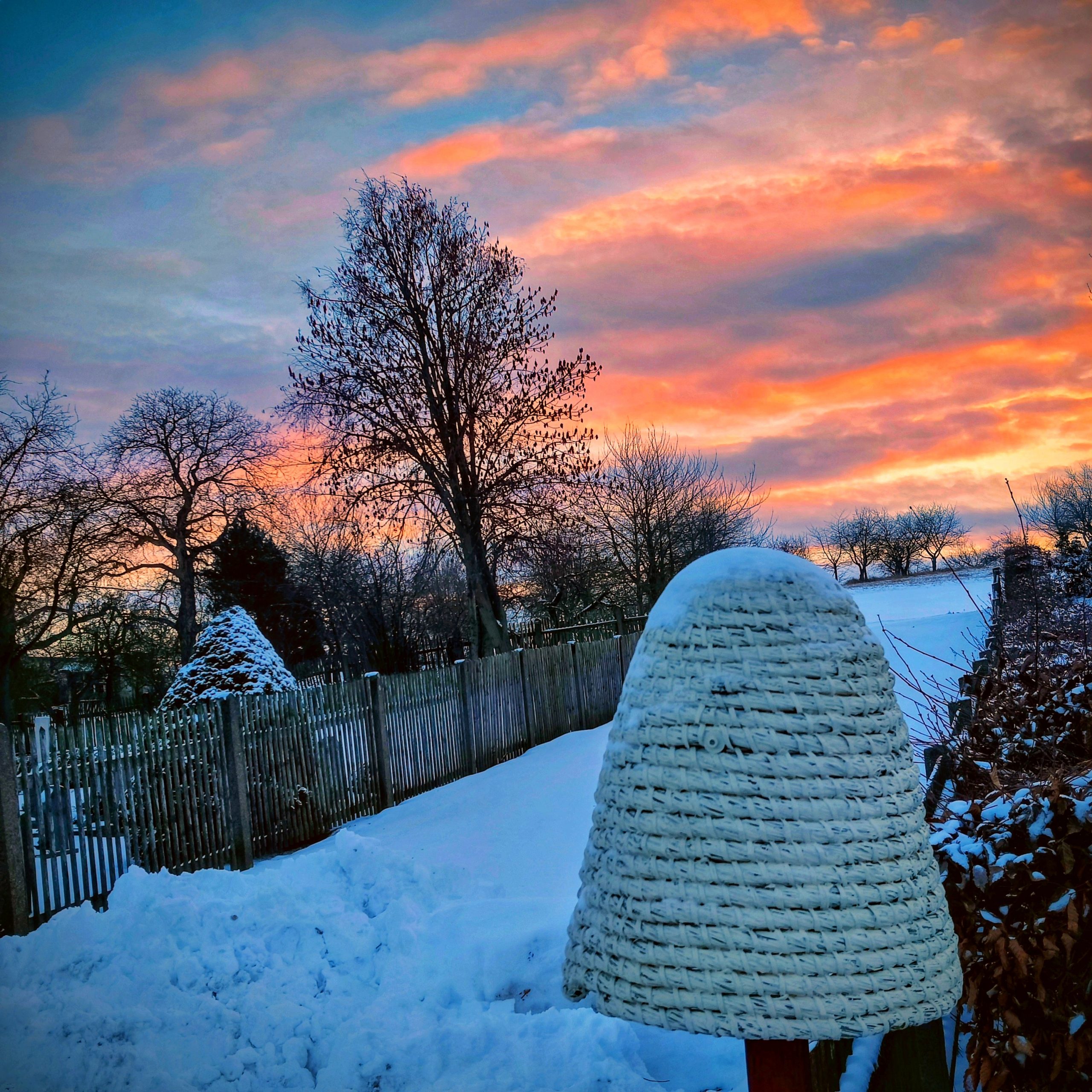 Winter am Bienenstand. ❄️